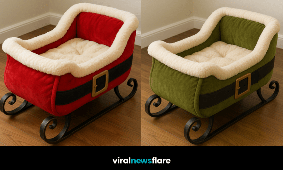 Collection of Santa sleigh pet beds in red, green, teal and purple