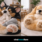 Collection of giant plush dog bean bag chairs in modern living room interiors