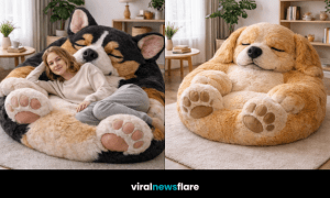 Collection of giant plush dog bean bag chairs in modern living room interiors