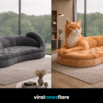 Oversized cat-shaped sofas in multiple colours displayed in a modern luxury living space