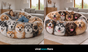 Oversized plush dog bean bag chairs creating ultra-cosy statement seating in a modern home