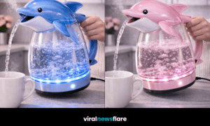 Collection of colourful dolphin-shaped LED electric kettles with glowing glass bodies