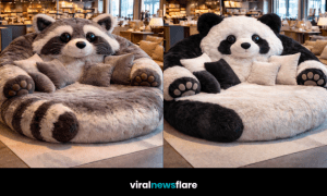 Collection of oversized plush animal lounge sofas including panda, koala, raccoon and red panda designs