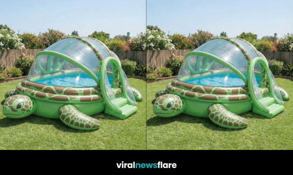 Giant turtle-shaped inflatable dome pool with clear canopy and built-in slide on green lawn