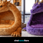 Collection of colourful dragon-shaped lounger pods adding a fantasy-inspired touch to home décor