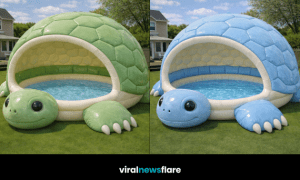 Colourful turtle-shaped inflatable paddling pools creating a fun garden summer feature