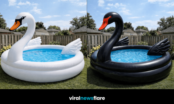 stylish inflatable swan paddling pool creating a luxury garden summer setup