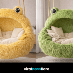 Collection of colourful frog hanging chairs in blue, green, yellow, and pink styles