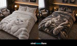 Collection of cat-themed 3D duvet covers in cosy modern bedrooms with warm lighting