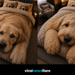 Collection of realistic dog bedding sets featuring Golden Retrievers, Huskies, and German Shepherds in cosy bedrooms