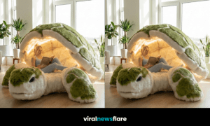 Giant plush turtle-shaped relaxation pod with ambient lighting and cosy reading space in a bright modern apartment