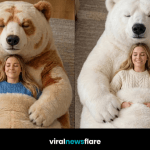 Collection of giant bear sleeping bags in grey, white and brown designs creating a cosy home relaxation space.