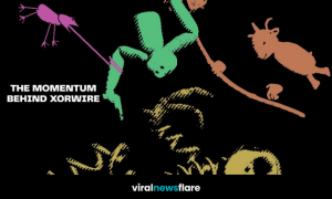 Abstract blog header for The Momentum Behind XORWIRE featuring stylised animal silhouettes and creative artwork symbolising innovation, growth, and the studio's journey in XR technology.